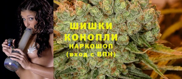 ПСИЛОЦИБИНОВЫЕ ГРИБЫ Абдулино