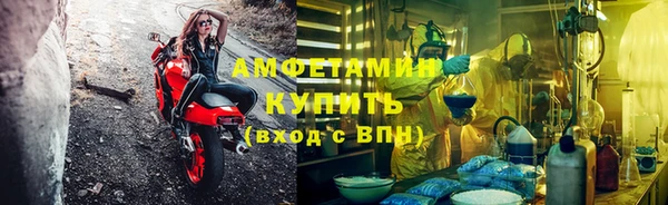 индика Алзамай