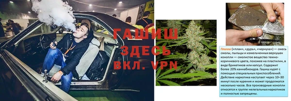 индика Алзамай