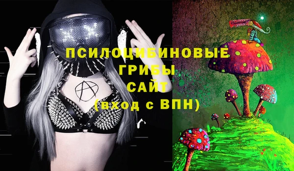 ПСИЛОЦИБИНОВЫЕ ГРИБЫ Абдулино