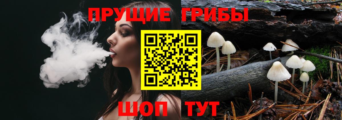 Псилоцибиновые грибы прущие грибы Одинцово